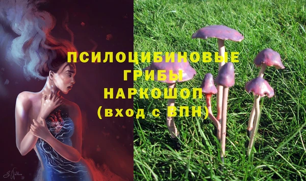 mdpv Зеленодольск