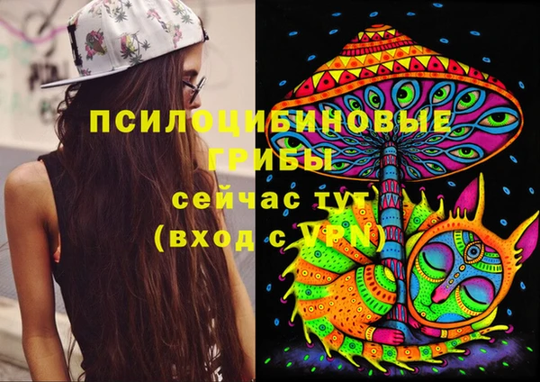 2c-b Заволжье